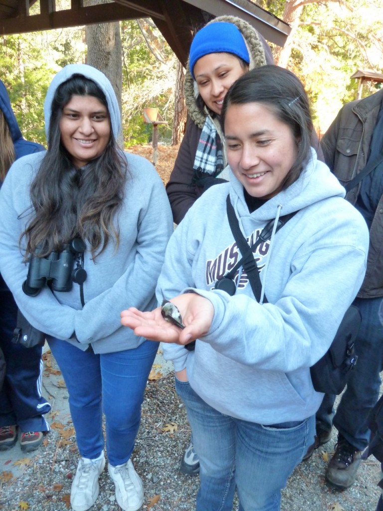 Holding a live humming bird on its back