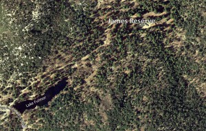 lake fulmor3